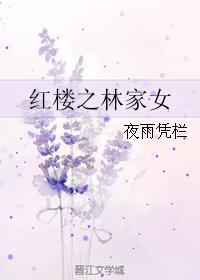 红楼之林家女 夜雨凭栏txt