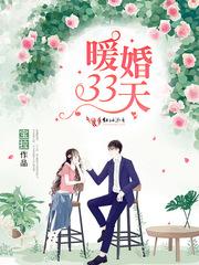 暖婚33天就想缠着你番外