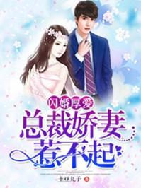 闪婚厚爱总裁宠妻成瘾