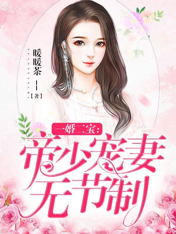 一婚二宝帝少宠妻无节制[精品