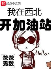 我在西北开加油站女角色介绍