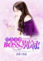 boss别撩我