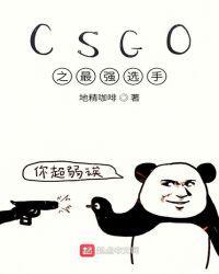 csgo之最强选手全文免费阅读