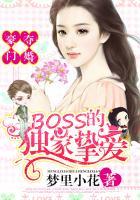 豪门夺婚BOSS的独家挚爱 梦里小花