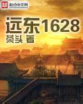 远东1628百科