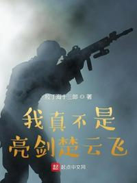 我真不是亮剑头号特种兵顶点