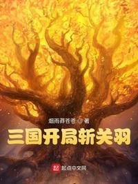 三国开局华羽追杀刘关张顶点