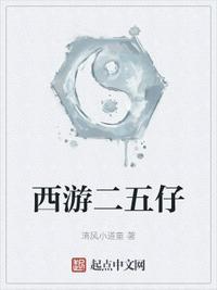 二五仔什么意思