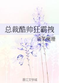 总裁酷帅狂霸拽by语笑阑珊 百度