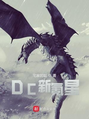 DC新氪星全文