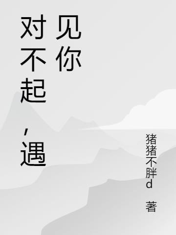 对不起你歌曲