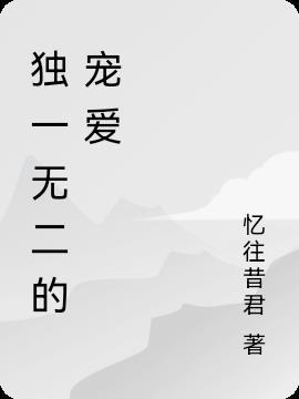 独一无二的宠爱歌曲