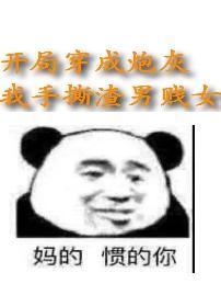 我开局是一名炮灰