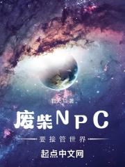 废柴NPC要接管世界TXT