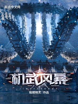 机武风暴无错字完整版