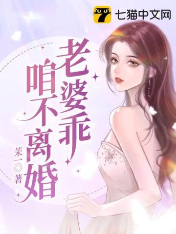 老婆乖咱不离婚这是一本什么