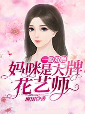 一胎双宝 花界妈咪带球跑