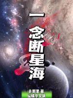 一念逍遥星海瓶图片