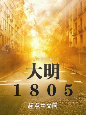 大明1805TXT最新版本更新内容