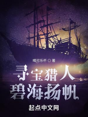 寻宝猎人碧海扬帆无防盗