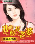 重生归来弥补我的校花老婆