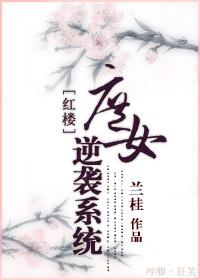 红楼之逆袭攻略epub