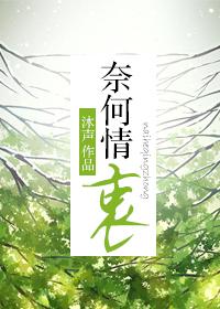 奈何情衷by沐声简介