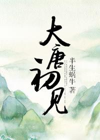 17. 大唐初见 作者半生蜗牛