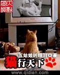 猫行天下纪录片