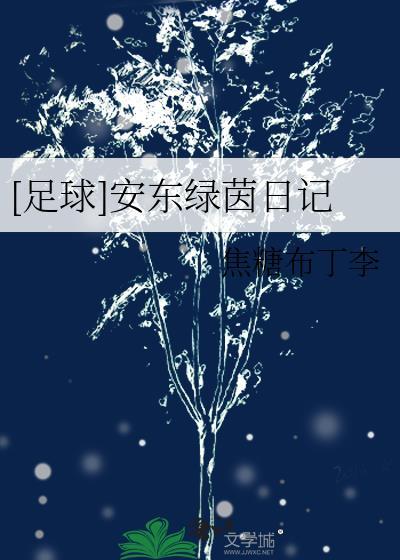 足球安东绿茵日记TXT