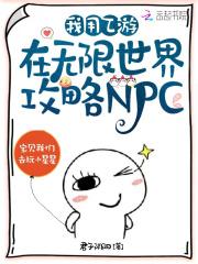 我用乙游在无限世界攻略NPC33言情网