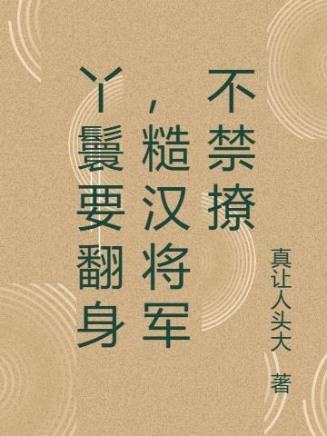 丫鬟将军的