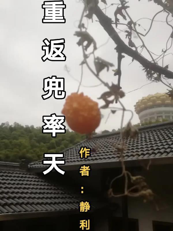 重返兜率天番茄