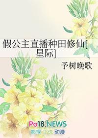 假公主的高级兔子