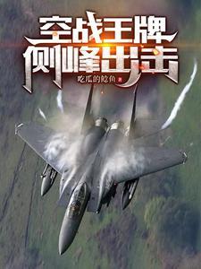 王牌空军飞行员