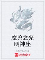 魔兽光明游侠