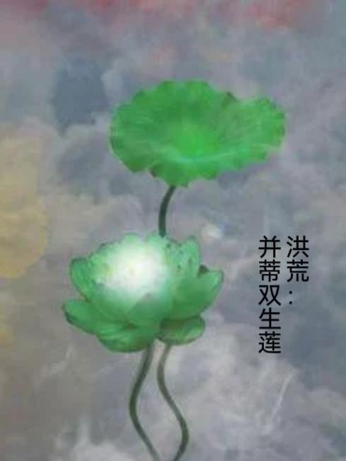 洪荒并蒂双生莲