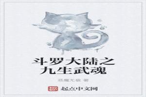 斗罗大陆之神九考