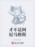 阿尼马格斯是什么