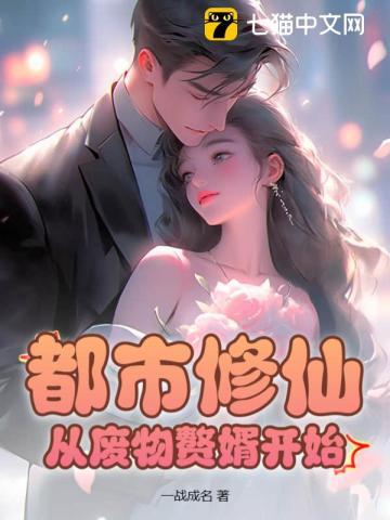 沙雕动画都市修仙赘婿