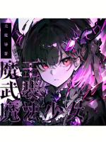 魔法少女武装计划