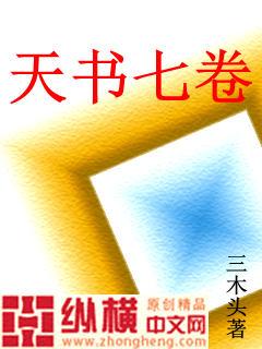 天书四卷百科