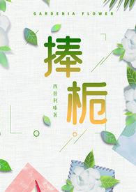 捧栀俞清晖全文