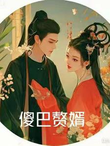 傻婿完整版