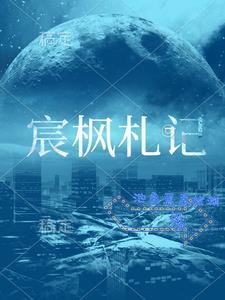 宸枫科技怎么样