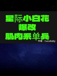 星际小白多少钱