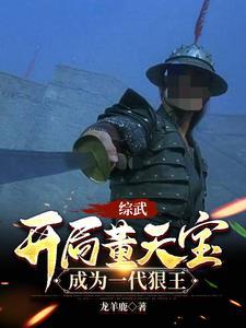 综武开局董天宝