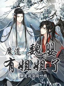 魔道祖师姐姐