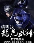 龙虎武师导演