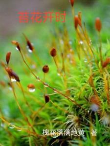 苔花开花所体现的生物特征